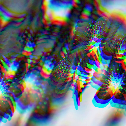 Incomprehensible Vastness