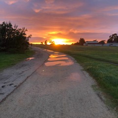 Golden (demo version)