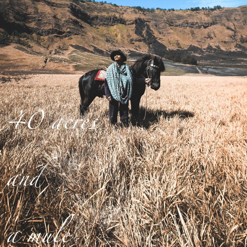 40 Acres & A Mule