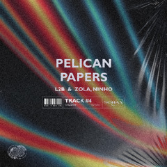 Pelican x Papers