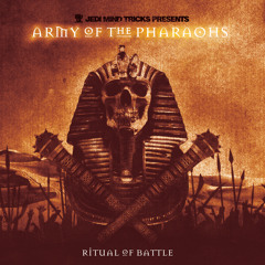 Through Blood by Thunder