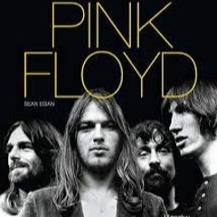 Pink Floyd Tribute