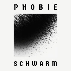 Schwarm