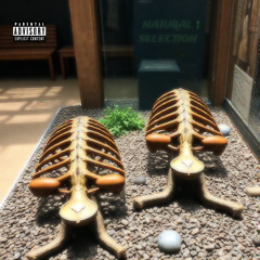 NATURAL SELECTION [frfr]
