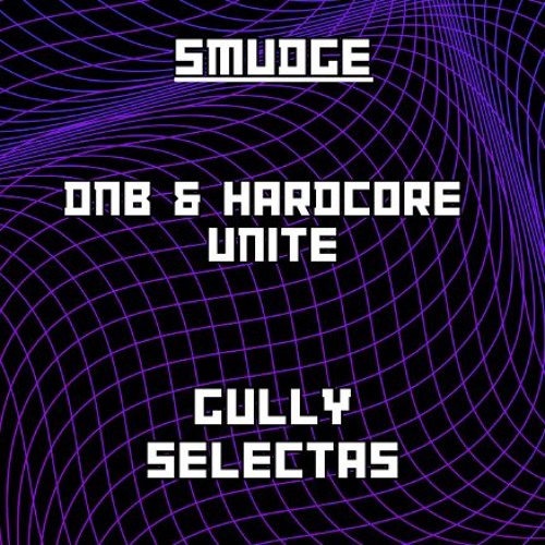 F' the division. DnB n Hardcore unite! GULLY SELECTAS REPPIN