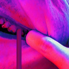 HOT CHIP (free dl)