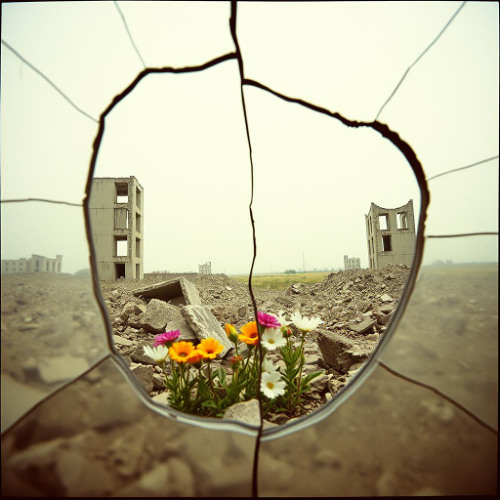 WAR/LOVE COMPLEX (old-school hip-hop mood 4)