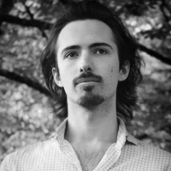 Wip. - Luciano Williamson