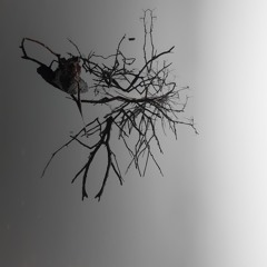družběta - constructing visions of perpetual peace