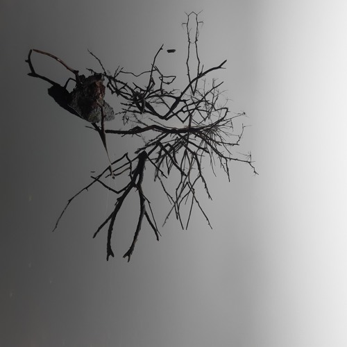 družběta - constructing visions of perpetual peace
