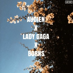 Audien x Lady Gaga x Borns (Jake Duby Mashup)