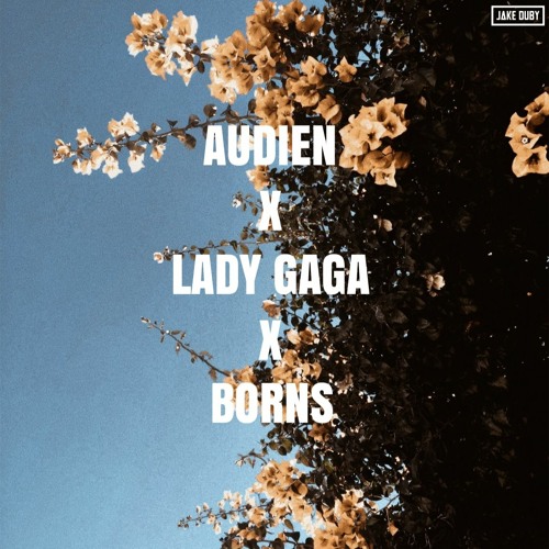 Audien x Lady Gaga x Borns (Jake Duby Mashup)
