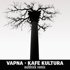 Vapna - Kafe Kultura (auldnick remix)