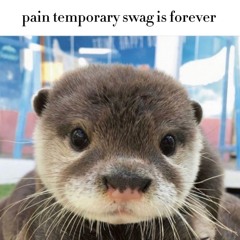 had to macc a n with the leftie (lani)