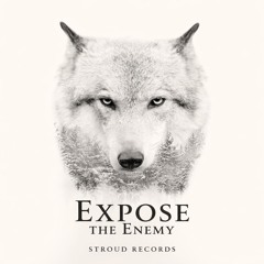 Expose the Enemy