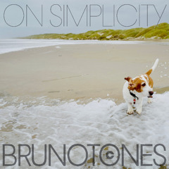 On Simplicity