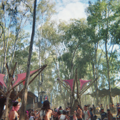 AVōKA - Celebrating 15 Years of Strawberry Fields Application