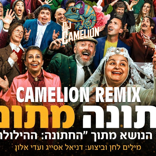 חתונה מתונה שיר הנושא מתוך "החתונה – ההילולה 2" רמיקס (Dj Camelion Remix)