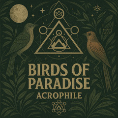 Birds of Paradise