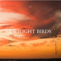 Twilight Birds