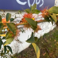 wohin? /prod1usercloud