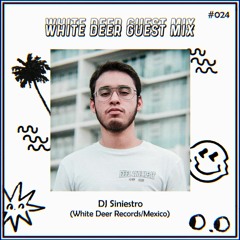 WDR Guest Mix #024 - Dj Siniestro