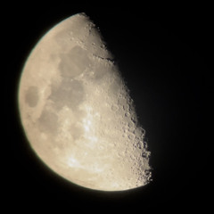 Elusiveimpulsivethoughts.m4a