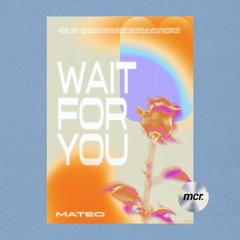 Mateo - Wait For You (Original Mix)