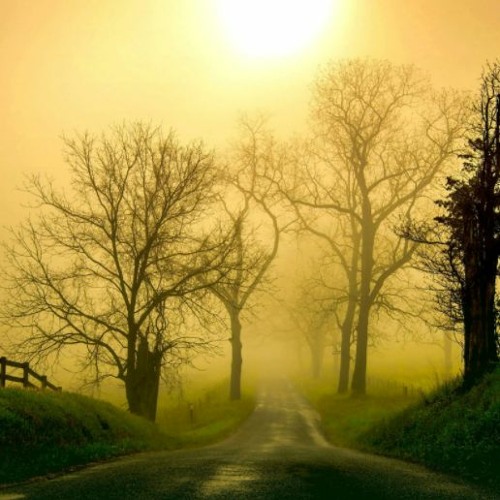 Amazon Rainforest music for video background free DOWNLOAD