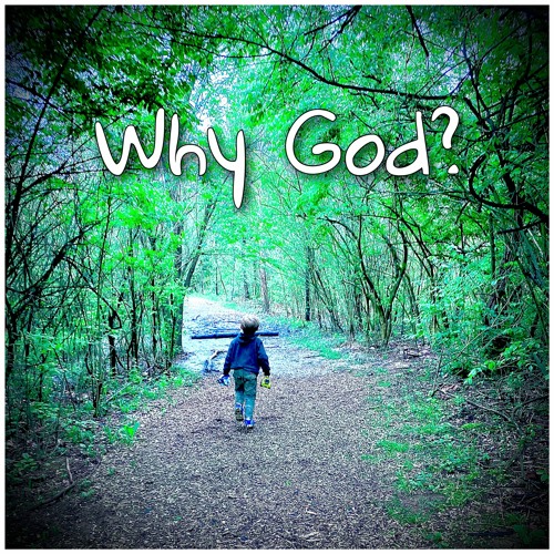 Why God? (feat. Sarah Bosworth)