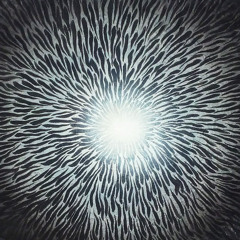 Consciousnesses of Gratitude (Wil Greenstreet-alto sax, piano, bass--jim-drums, congas)
