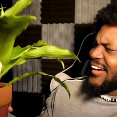 Momo Theme Remix @Coryxkenshin