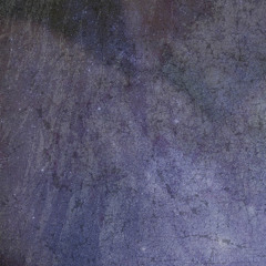 20:20