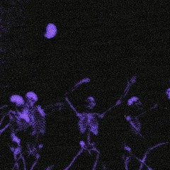 skeletons for bodyguards