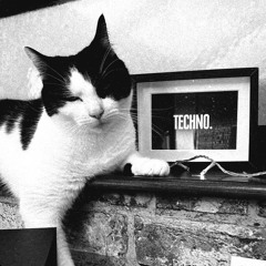 Rec 11022024 // Techno