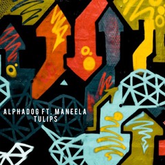 PREMIERE : Alphadog Ft. Maneela - Tulips (Original Mix) FREE DOWNLOAD