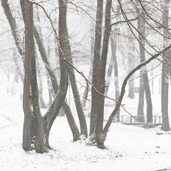 Look Foward (ppackrun)