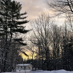 history repeats history (demo)