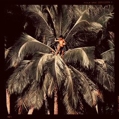 Papaya Playa Project Tulum 162: Mariposa en una botella