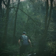 Broken Compass