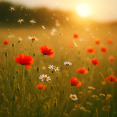 Wild Flowers