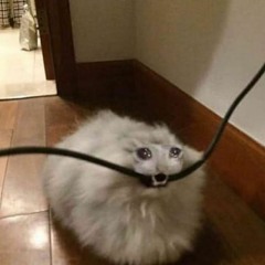 Crystal Castles- Char (sped up)