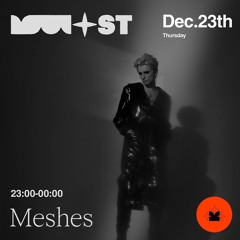 Most Moscow  Meshes 23.12.21