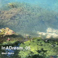 InADream05_Sept