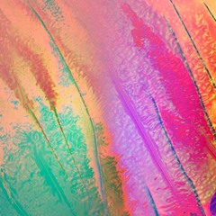 PREMIERE : Boreal - Gypsophila