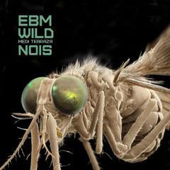 Cosmic Model -  EBM WILD NOIS