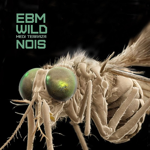 Joe is calling -  EBM WILD NOIS
