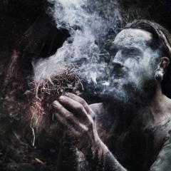 Old Growth : Oakenheart
