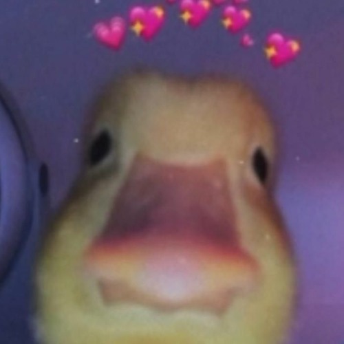 Trippie Redd - Leray (slowed + Instrumental)