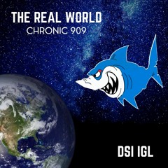 CHRONIC 909 - The Real World [200BPM]